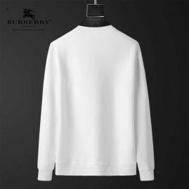 Picture of Burberry Sweatshirts _SKUBurberryM-4XL25cn3424865